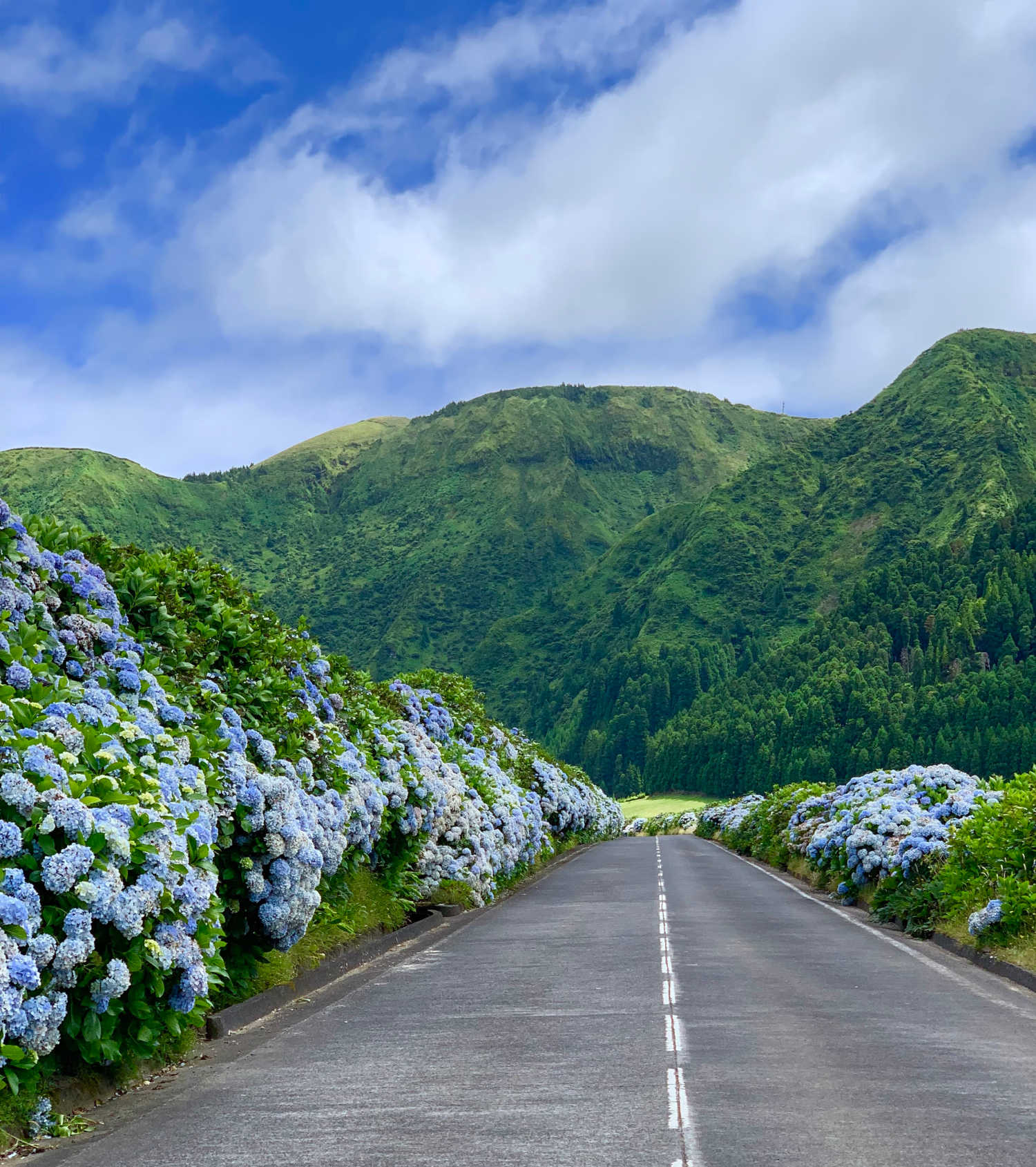 Road to Sete Cidades