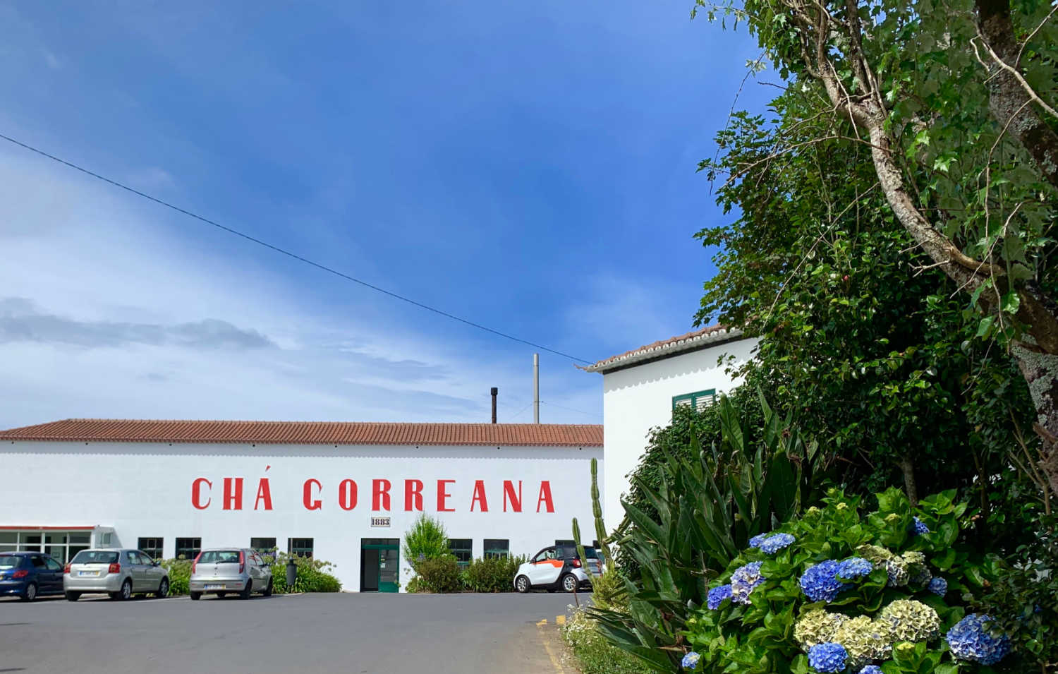 Chá Gorrean tea factory, Sao Miguel