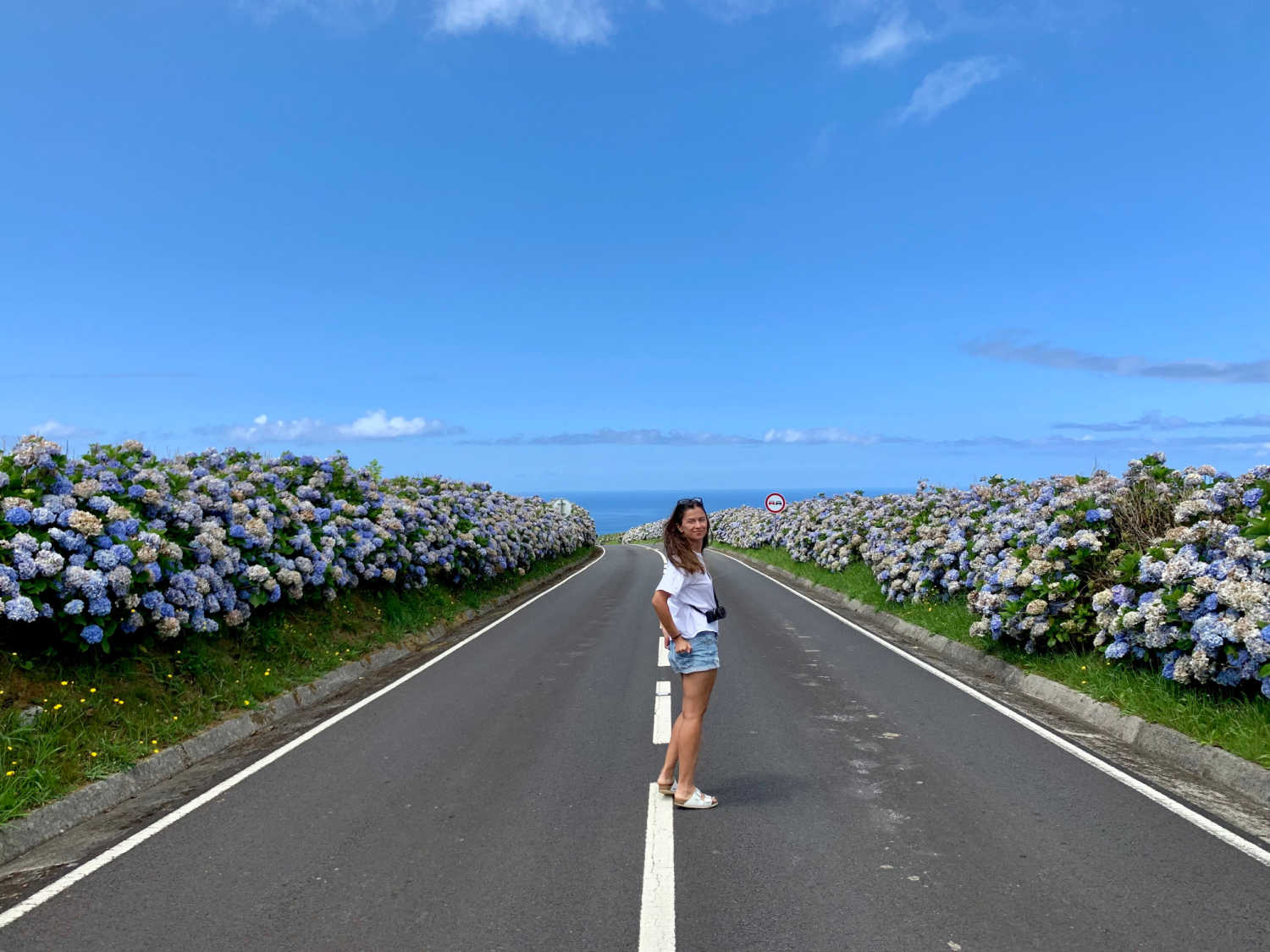 On the road, Ilha das Flores