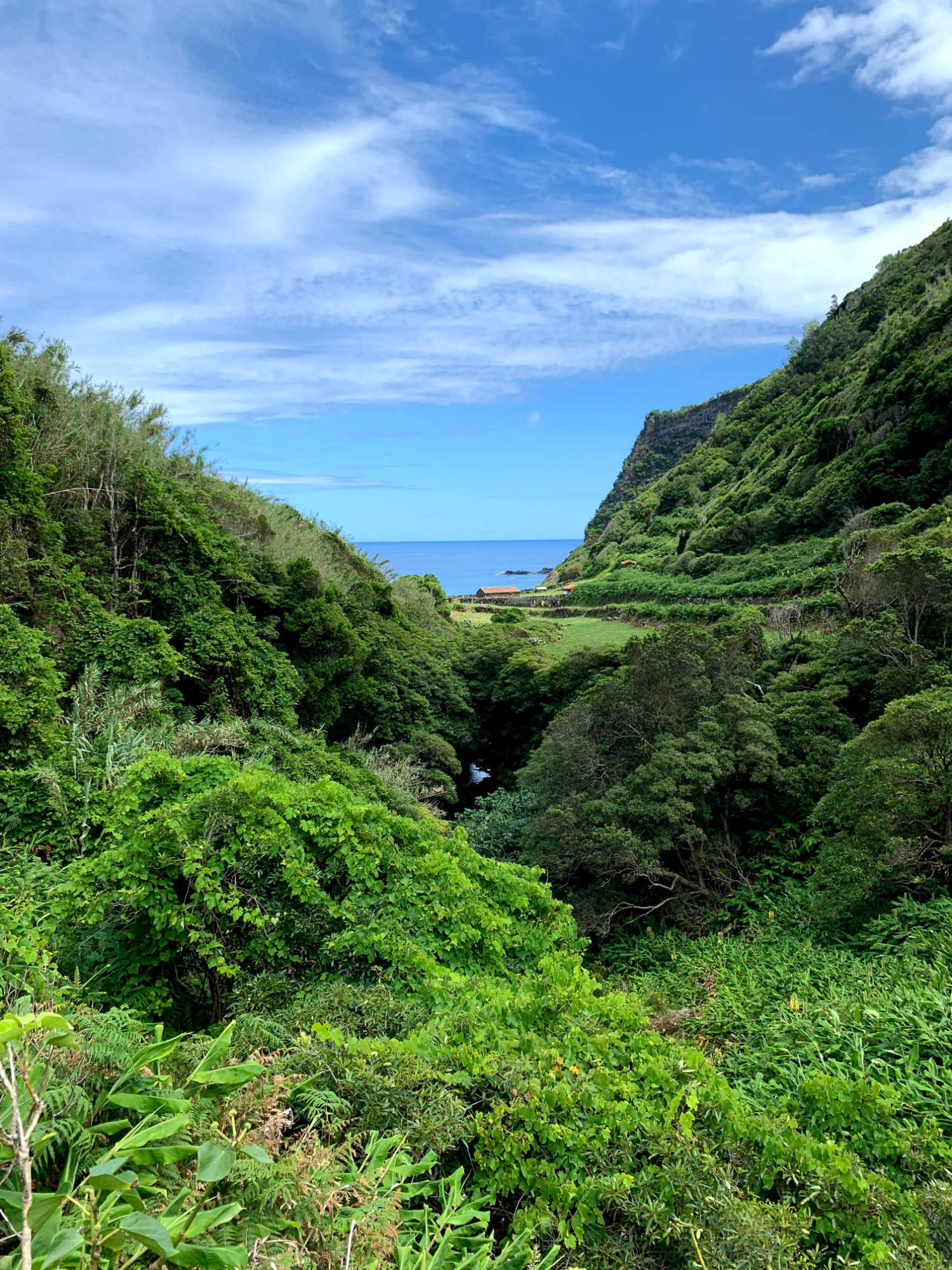 Parque da Alagoa, Ilha das Flores