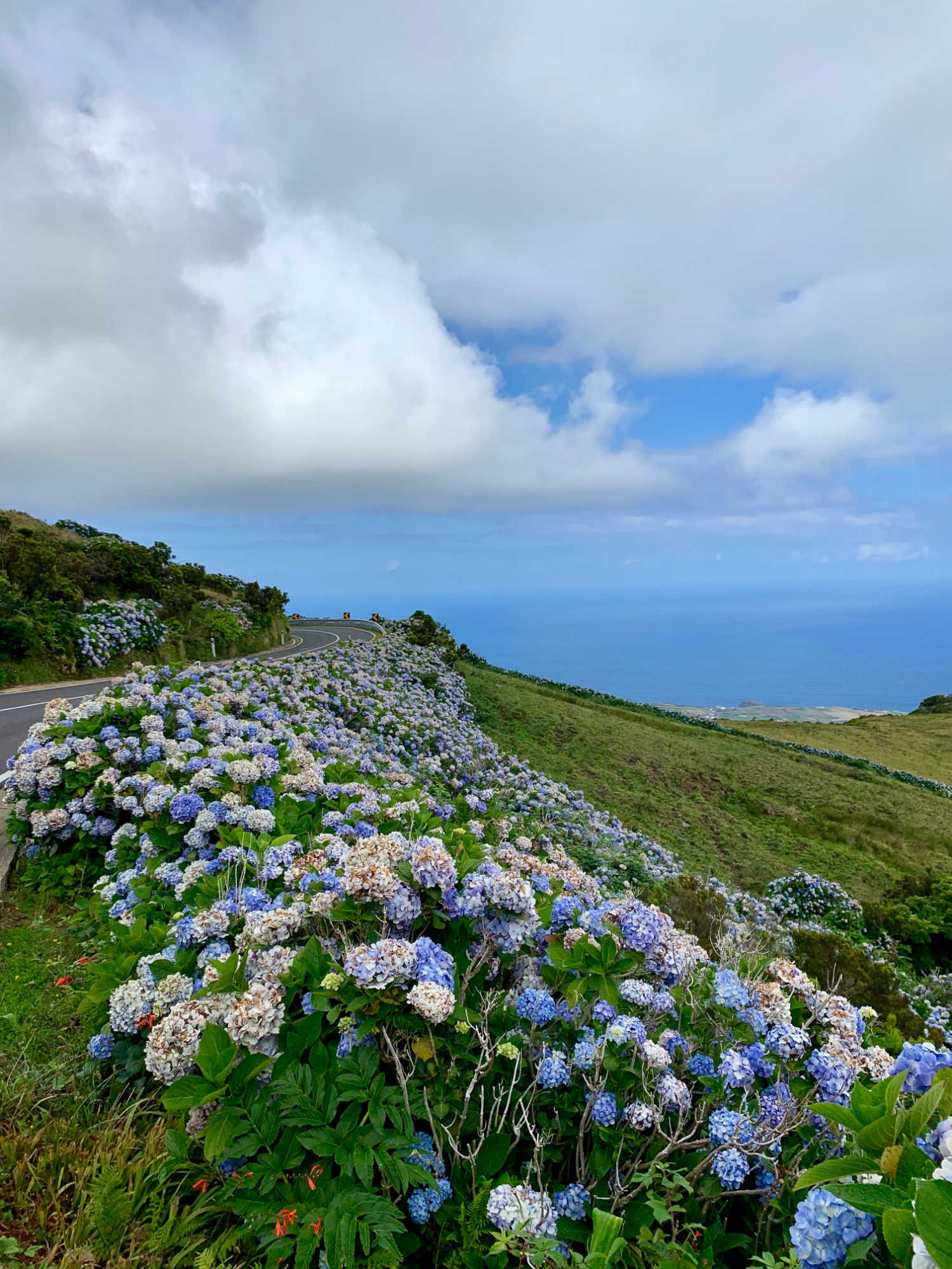 Ilha das Flores